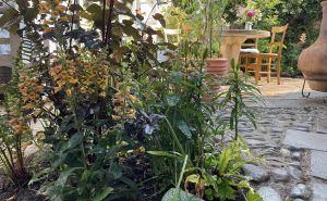 Reclaimed cobblestone and slab path through lush planting to a table and chairs in a courtyard-style Cumbrian garden.
