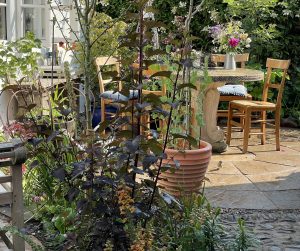 A lush small garden with apricot foxgloves, edible plants, and reclaimed stone furniture on a reclaimed circular patio